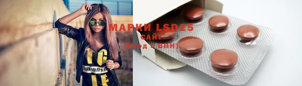 эйфоретик Баксан