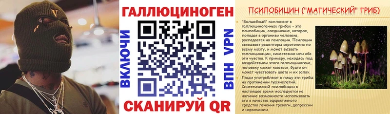 KRAKEN   Владивосток  Галлюциногенные грибы прущие грибы 