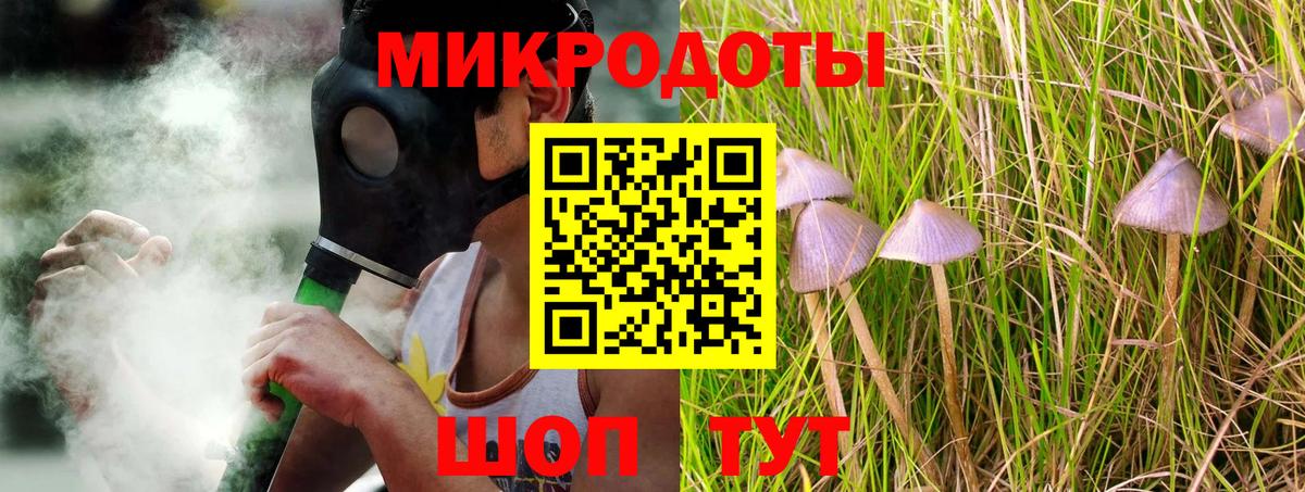 Псилоцибиновые грибы Cubensis Владивосток