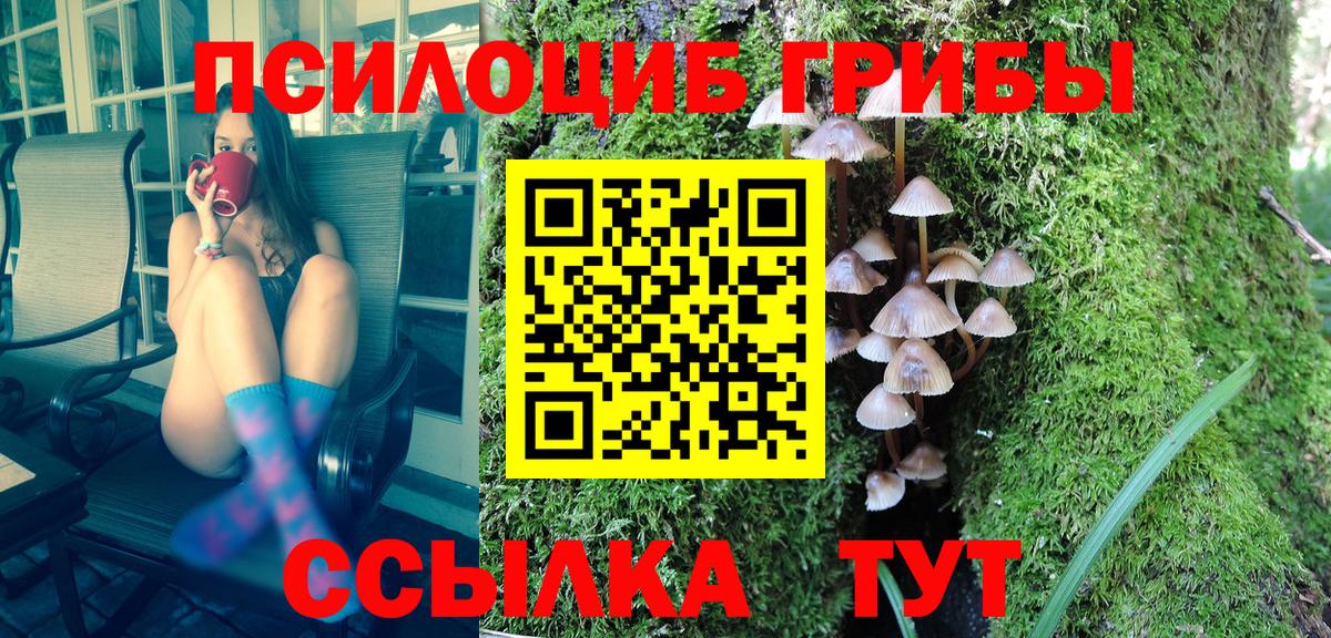 Псилоцибиновые грибы мухоморы  Псилоцибиновые грибы GOLDEN TEACHER  Владивосток  Вход с VPN 