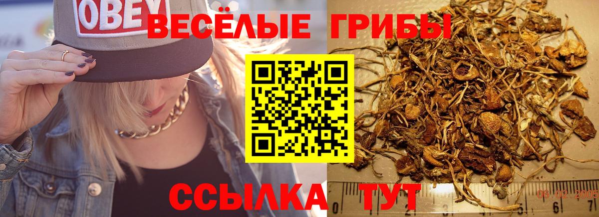 Псилоцибиновые грибы мицелий  Владивосток 