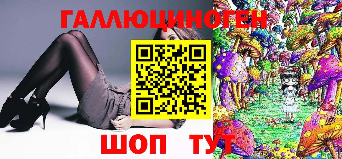 Псилоцибиновые грибы Cubensis Владивосток